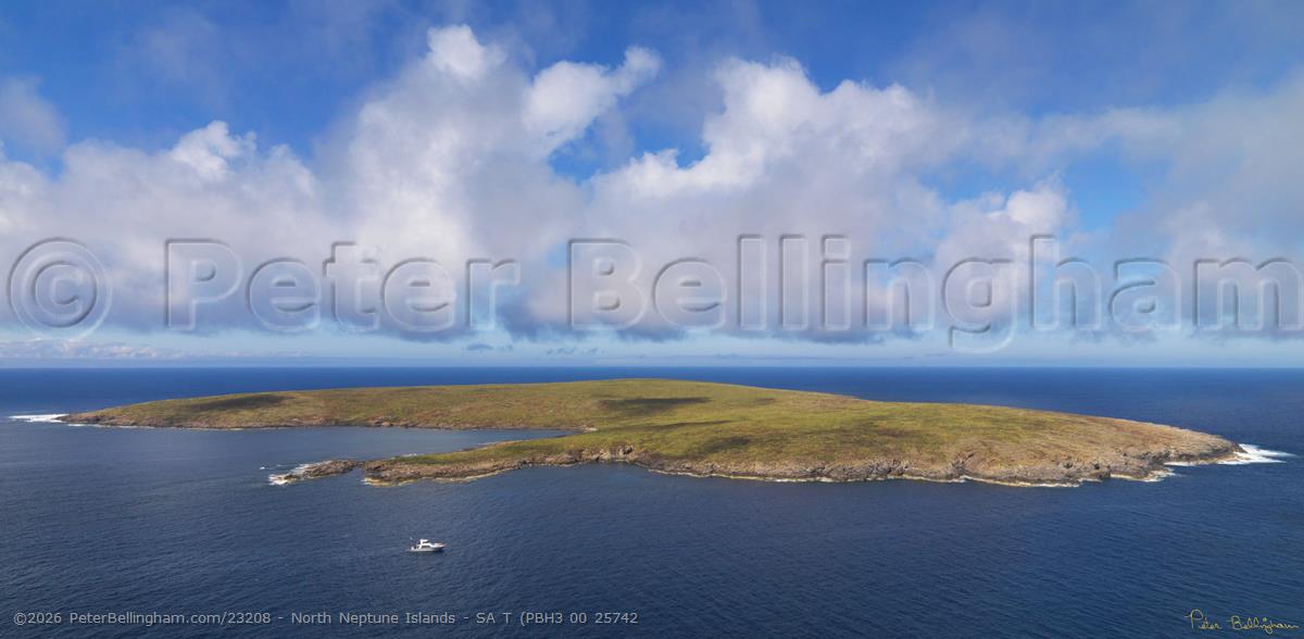 Peter Bellingham Photography North Neptune Islands - SA T (PBH3 00 25742